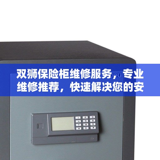 双狮保险柜维修服务，专业维修推荐，快速解决您的安全存储问题