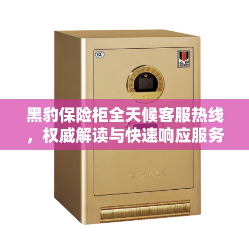 黑豹保险柜全天候客服热线，权威解读与快速响应服务