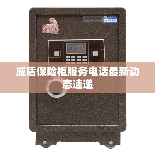 威盾保险柜服务电话最新动态速递