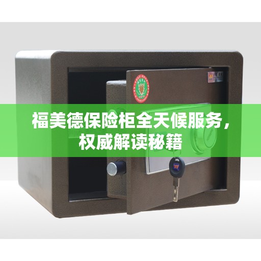 福美德保险柜全天候服务，权威解读秘籍