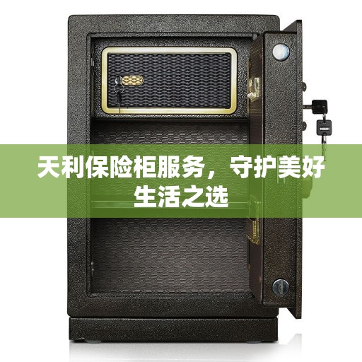 天利保险柜服务,守护美好生活之选 天利保险柜服务,守护美好生活之选