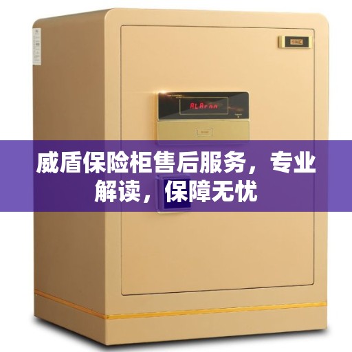 威盾保险柜售后服务，专业解读，保障无忧