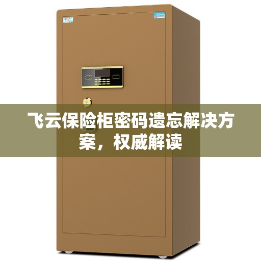 飞云保险柜密码遗忘解决方案，权威解读