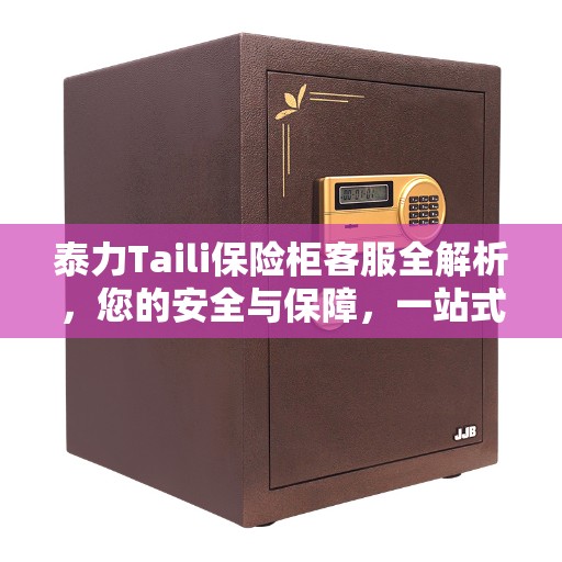 泰力Taili保险柜客服全解析，您的安全与保障，一站式服务解读