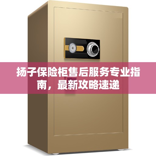 扬子保险柜售后服务专业指南，最新攻略速递
