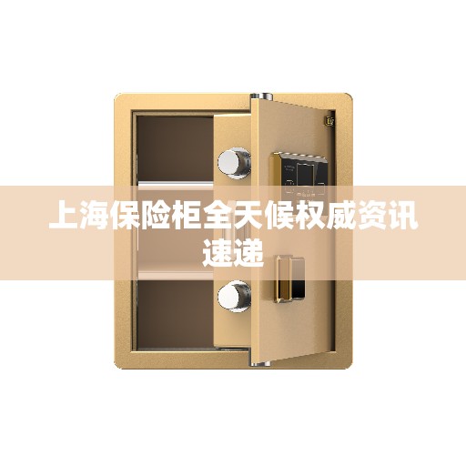 上海保险柜全天候权威资讯速递