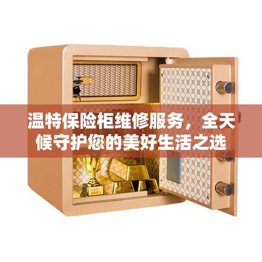 温特保险柜维修服务，全天候守护您的美好生活之选