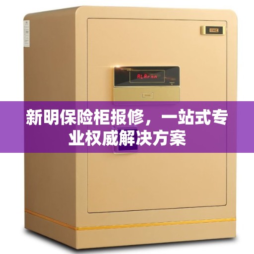 新明保险柜报修，一站式专业权威解决方案