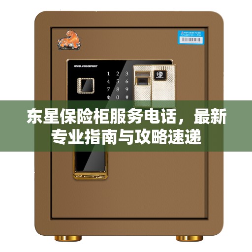 东星保险柜服务电话，最新专业指南与攻略速递