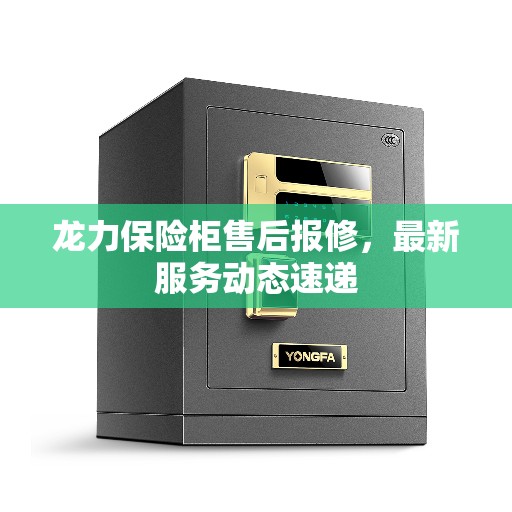 龙力保险柜售后报修，最新服务动态速递