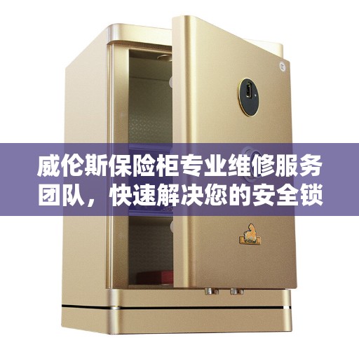 威伦斯保险柜专业维修服务团队，快速解决您的安全锁问题