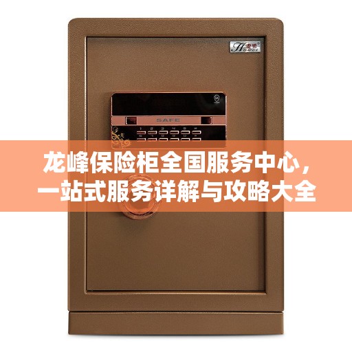 龙峰保险柜全国服务中心，一站式服务详解与攻略大全