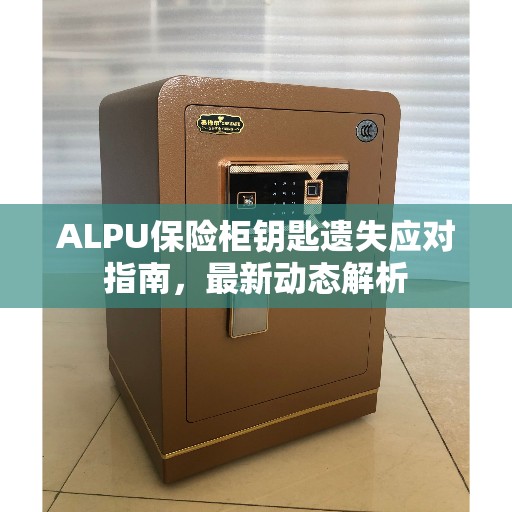 ALPU保险柜钥匙遗失应对指南，最新动态解析