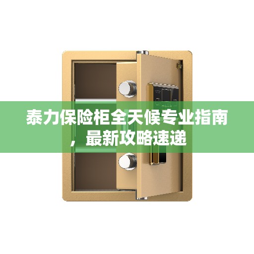 泰力保险柜全天候专业指南，最新攻略速递