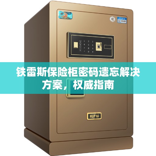 铁雷斯保险柜密码遗忘解决方案，权威指南