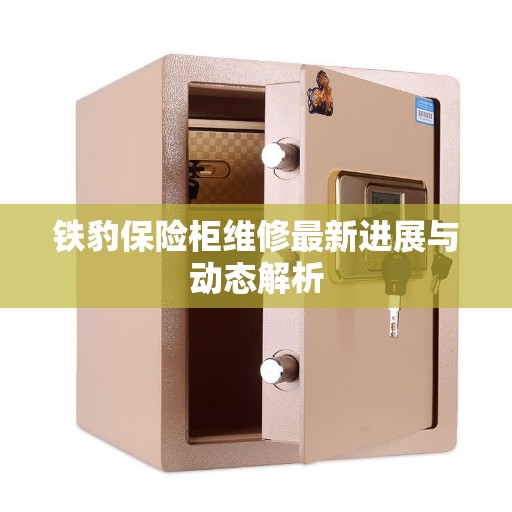 铁豹保险柜维修最新进展与动态解析