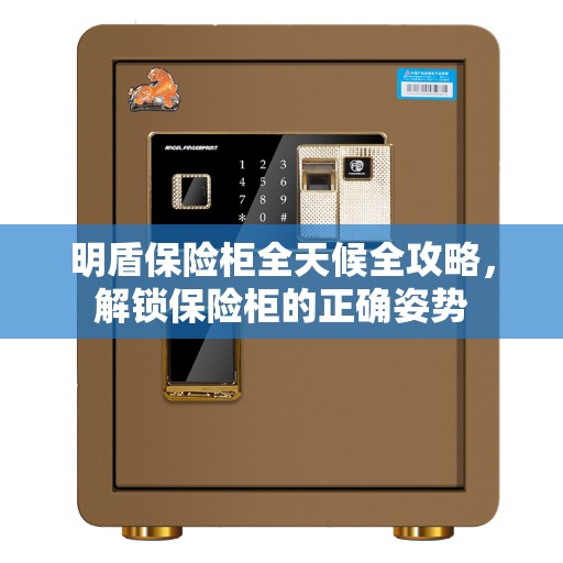 明盾保险柜全天候全攻略，解锁保险柜的正确姿势