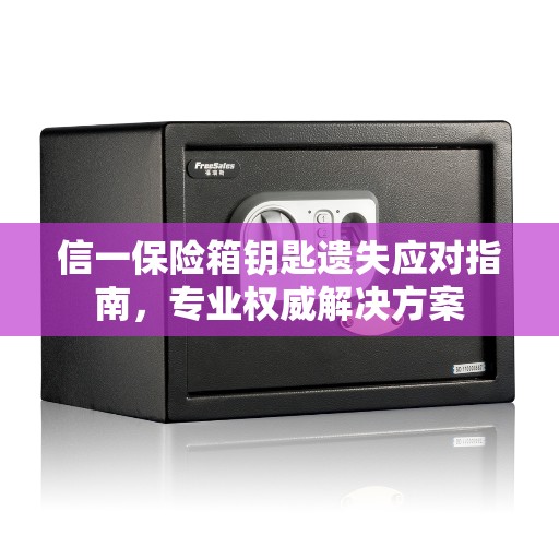 信一保险箱钥匙遗失应对指南，专业权威解决方案