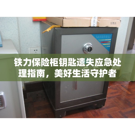 铁力保险柜钥匙遗失应急处理指南，美好生活守护者