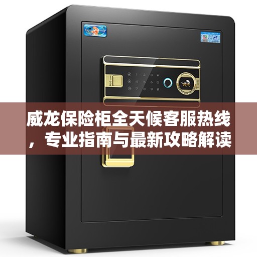 威龙保险柜全天候客服热线，专业指南与最新攻略解读