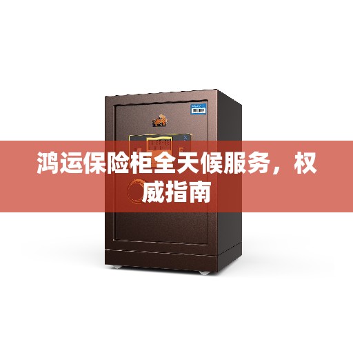 鸿运保险柜全天候服务，权威指南