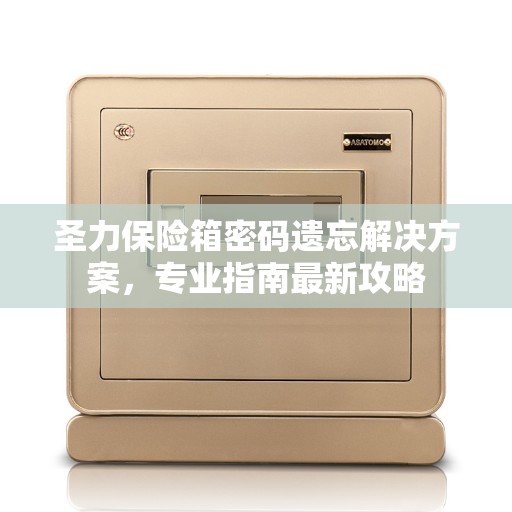 圣力保险箱密码遗忘解决方案，专业指南最新攻略