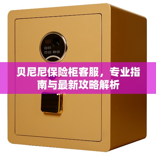 贝尼尼保险柜客服，专业指南与最新攻略解析