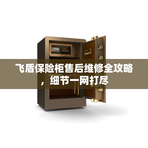 飞盾保险柜售后维修全攻略，细节一网打尽