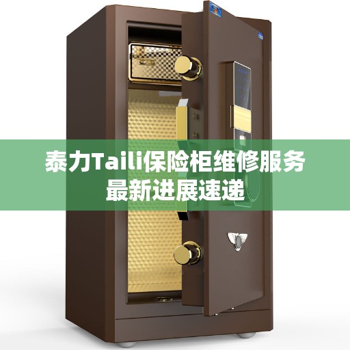 泰力Taili保险柜维修服务最新进展速递