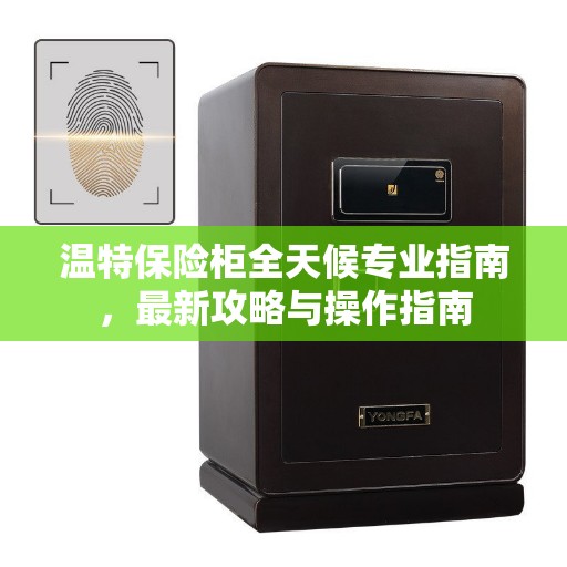 温特保险柜全天候专业指南，最新攻略与操作指南