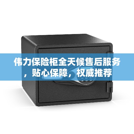 伟力保险柜全天候售后服务，贴心保障，权威推荐