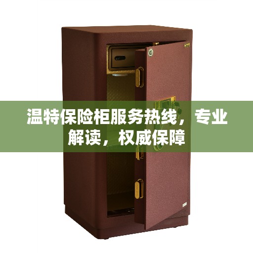 温特保险柜服务热线，专业解读，权威保障