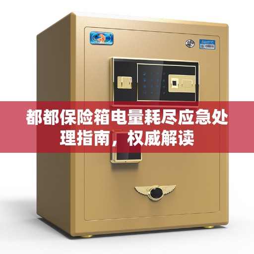 都都保险箱电量耗尽应急处理指南，权威解读