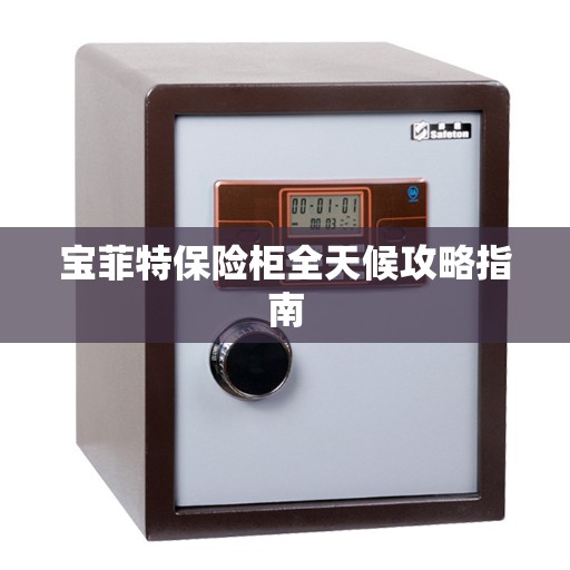 宝菲特保险柜全天候攻略指南