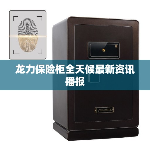 龙力保险柜全天候最新资讯播报