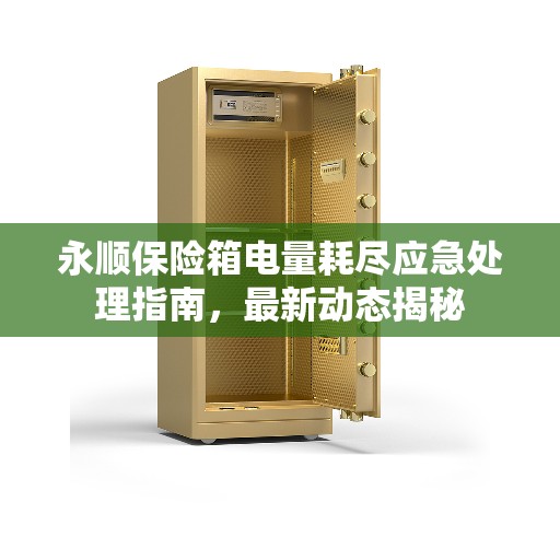 永顺保险箱电量耗尽应急处理指南，最新动态揭秘