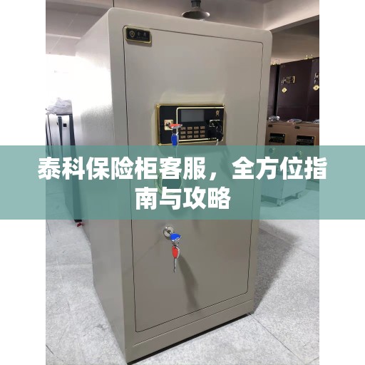 泰科保险柜客服，全方位指南与攻略