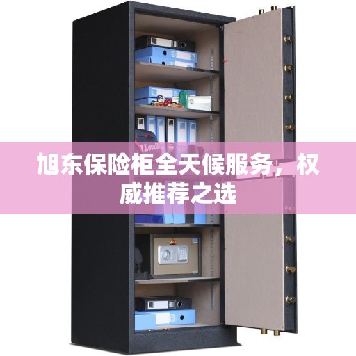 旭东保险柜全天候服务，权威推荐之选