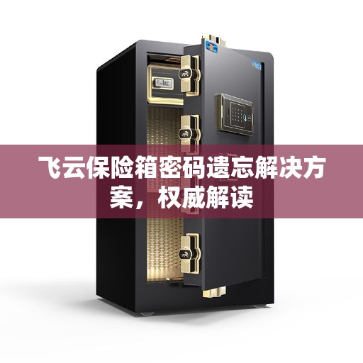飞云保险箱密码遗忘解决方案，权威解读