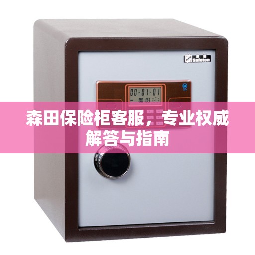 森田保险柜客服，专业权威解答与指南