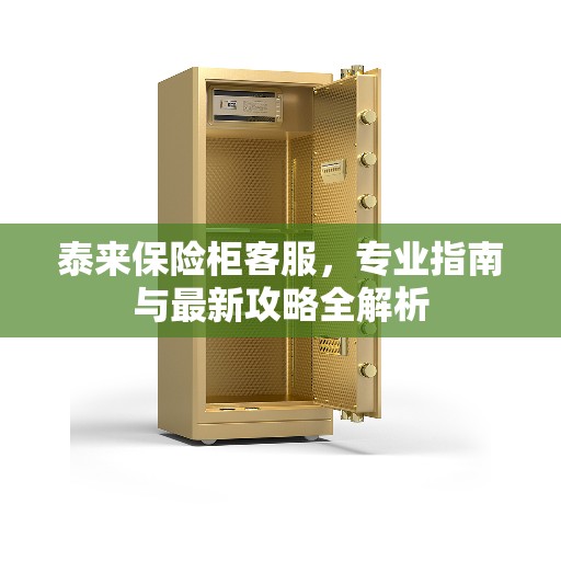 泰来保险柜客服，专业指南与最新攻略全解析
