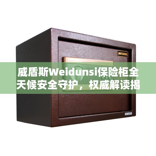 威盾斯Weidunsi保险柜全天候安全守护，权威解读揭秘安全之道