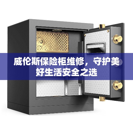 威伦斯保险柜维修，守护美好生活安全之选