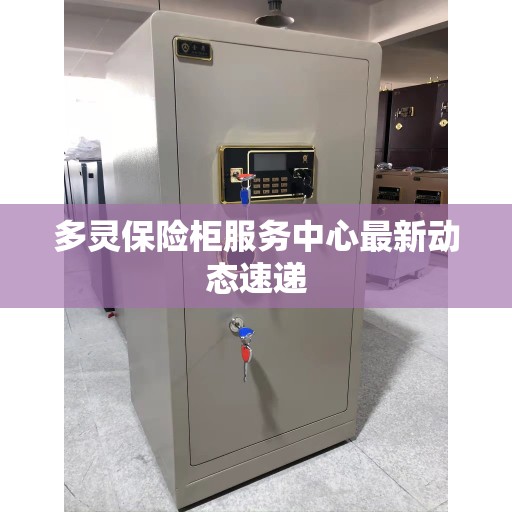 多灵保险柜服务中心最新动态速递