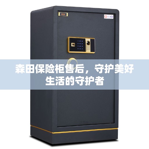 森田保险柜售后，守护美好生活的守护者