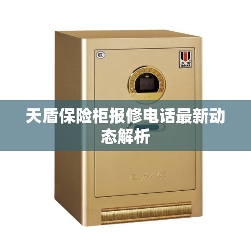 天盾保险柜报修电话最新动态解析