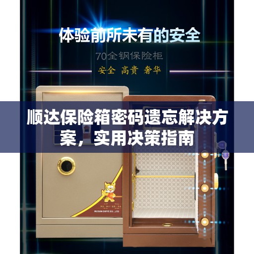 顺达保险箱密码遗忘解决方案，实用决策指南