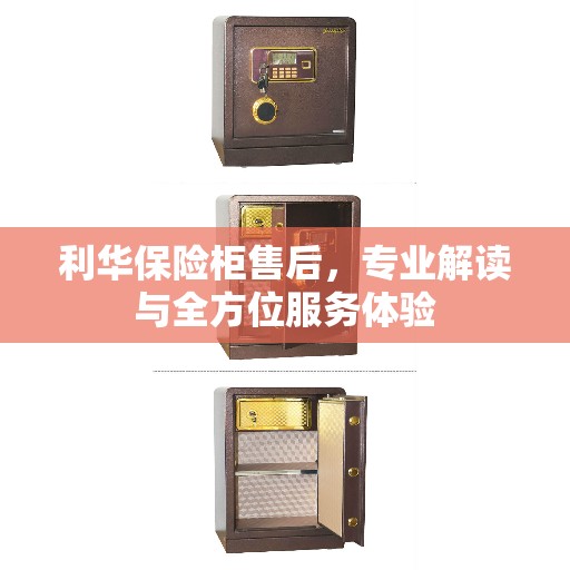 利华保险柜售后，专业解读与全方位服务体验