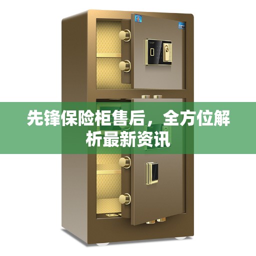 先锋保险柜售后，全方位解析最新资讯