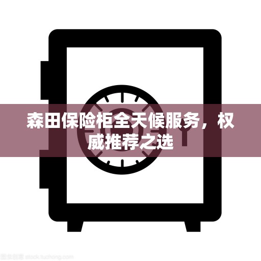 森田保险柜全天候服务，权威推荐之选